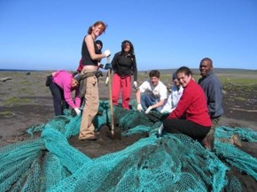 volunteer-iceland-42.jpg volunteer-iceland-42.jpg