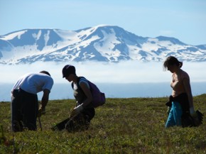 volunteer-iceland-7.jpg volunteer-iceland-7.jpg